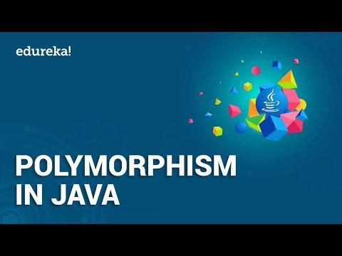 Polymorphism in Java | Method Overloading & Overriding in Java | Java ...